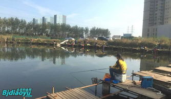 北京釣魚野趣 野釣營，垂釣愛好者的天堂